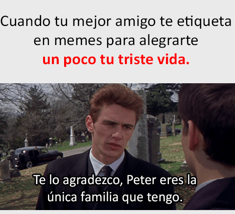 Memes 😂de nuestra saga favorita