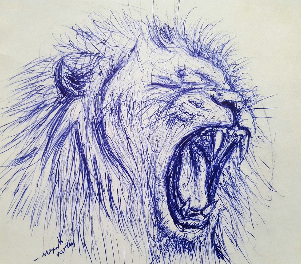 Roaring lion pencil sketch stock illustration Illustration of drawings   51695187