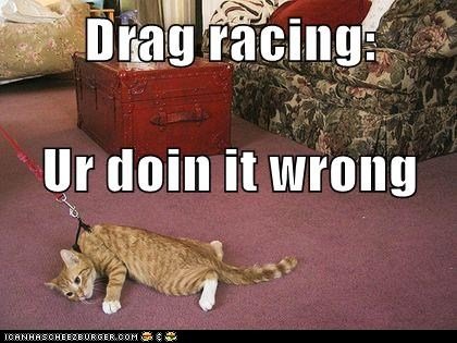 https://cdn.steemitimages.com/DQmSBsVoj3C6XC6mYXzV8fb7pYVaxHS8iFTc2WTUEf9xXAw/funny-cat-pictures-drag-racing-ur-doin-it-wrong.jpg