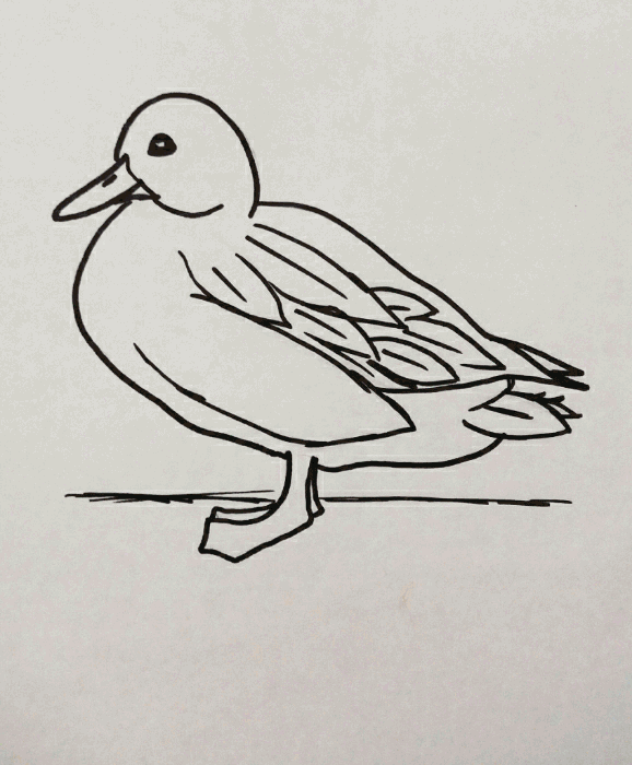 duck.1..gif