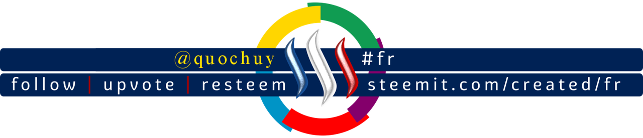 Steemit French community banner