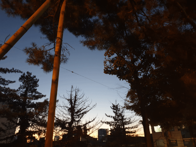 20181101_063434.gif