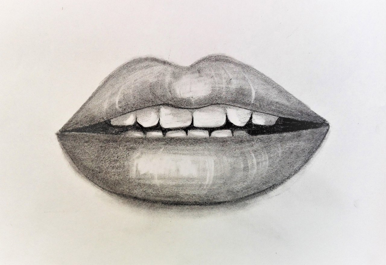 Agshowsnsw | How to draw lips with pencil for beginners