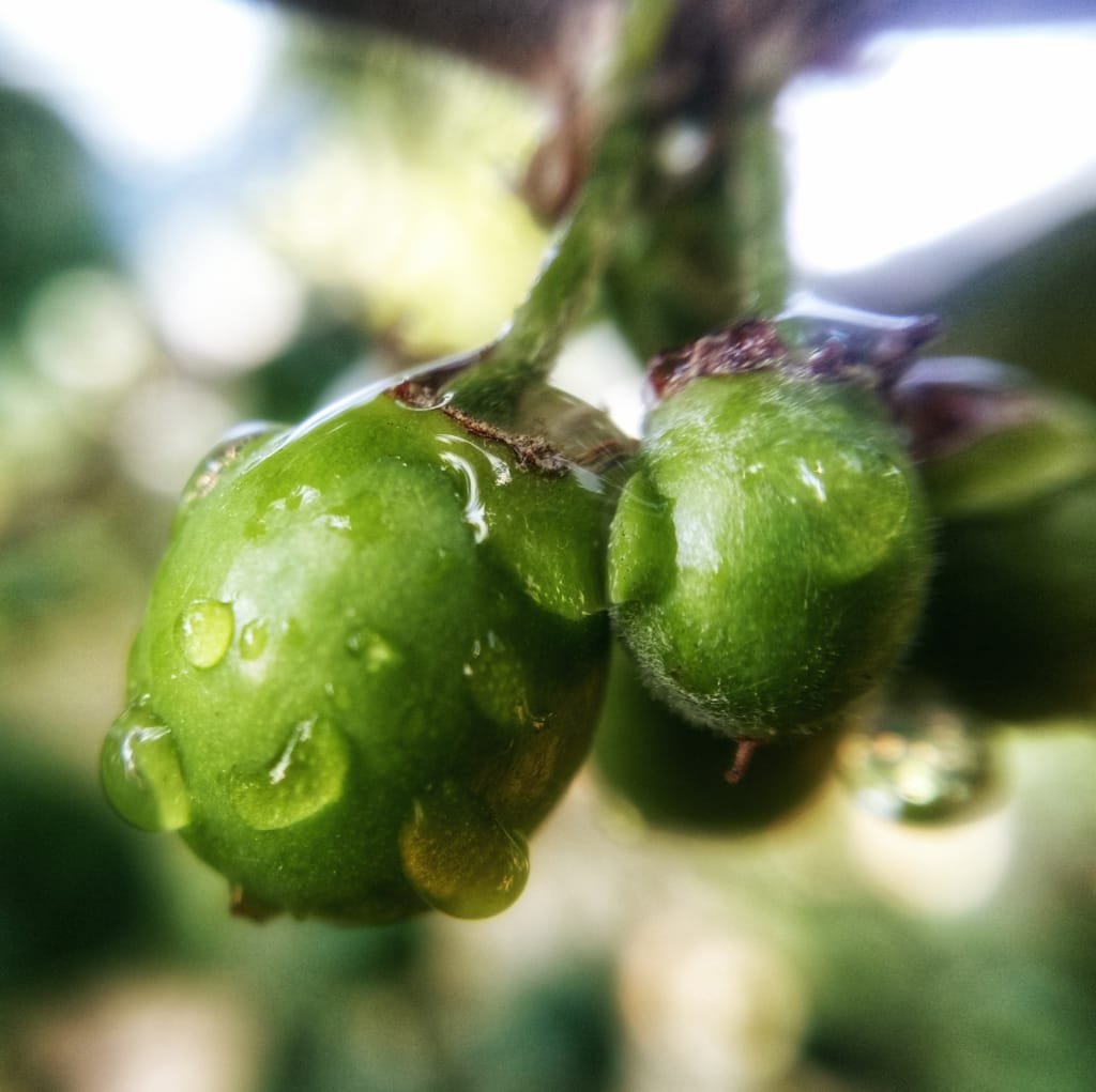 WhatsApp Image 2020-03-18 at 18.00.35 (2).jpeg