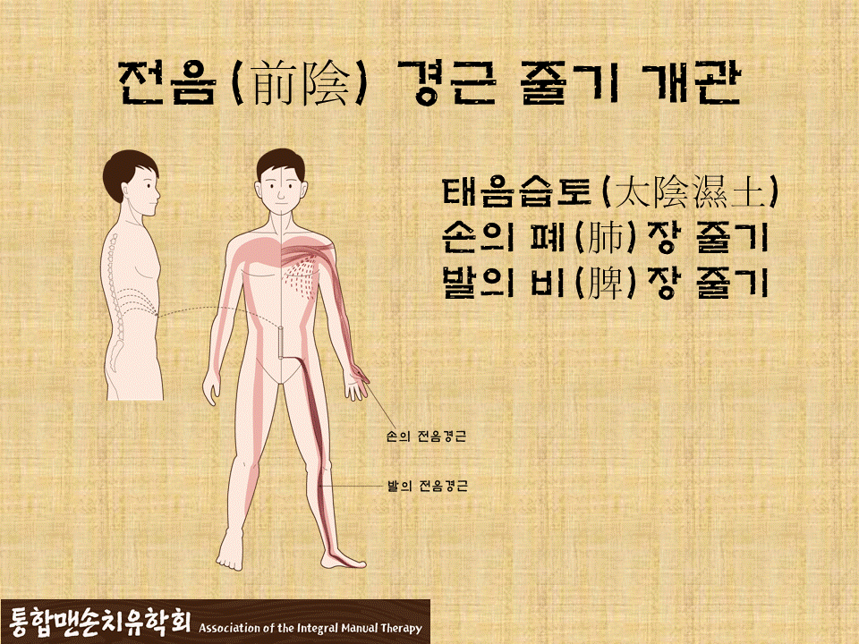 기와 사랑의 약손 요법_몸줄기개략설명_초안.gif