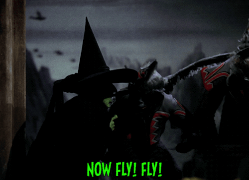 tumblr_ozez37B4AA1wzvt9qo1_500.gif