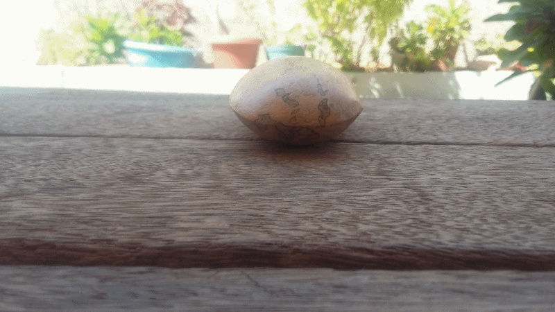 Gif Detalle. Toma #4.gif