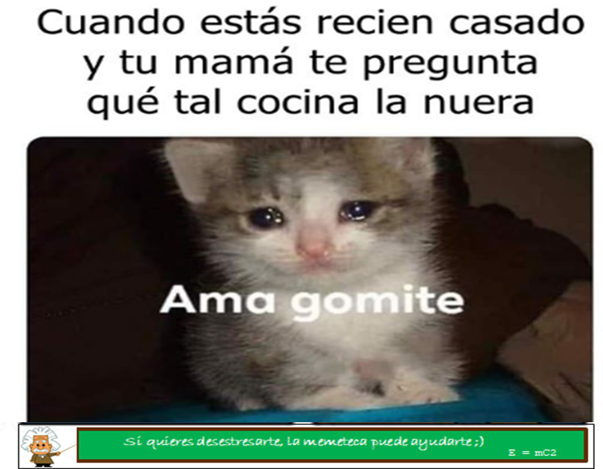 https://cdn.steemitimages.com/DQmWNfZyaJFnReuFipAVGhzM7rqJ8pF2kWq28QqscFUZB9p/image.png