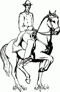 dressagegif.gif