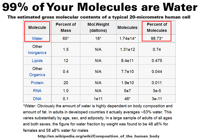 99-of-your-molecules-are-water.gif