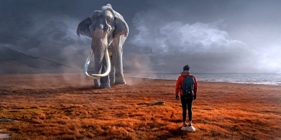 https://cdn.steemitimages.com/DQmWxPJqXZhZxjExWaDTN4payM1pasrqjVmQMoWx6C4ZBqw/fantasy-2995326_960_720.jpg