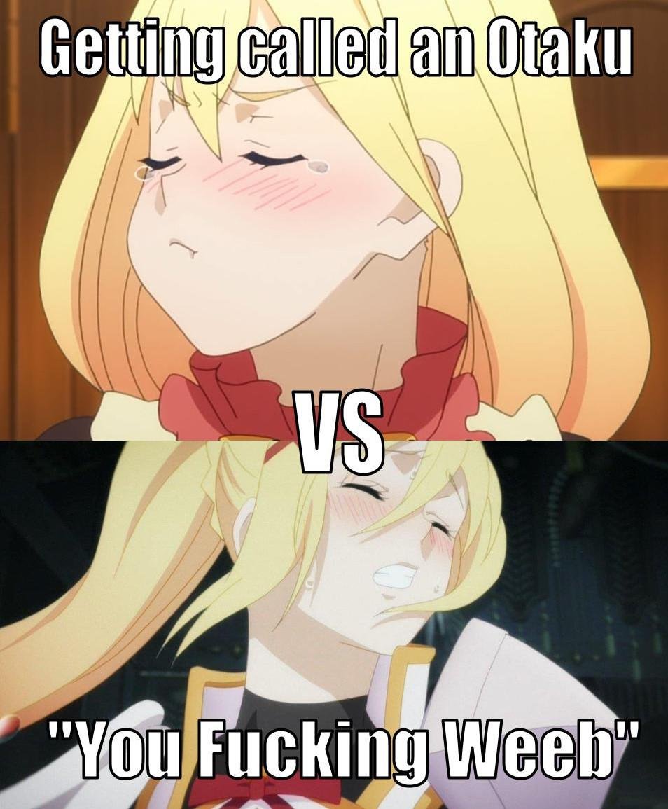 The 10 Best Anime Memes