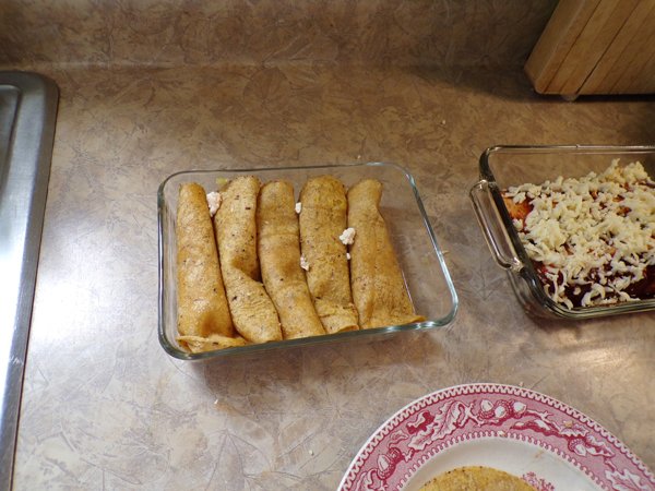 https://cdn.steemitimages.com/DQmX7HTPfw4rSbcXtoBcestreSPownaJPFheHM3oWbi4MEx/Enchiladas%20-%20filled%20corn%20tortillas1%20crop%20January%202020.jpg