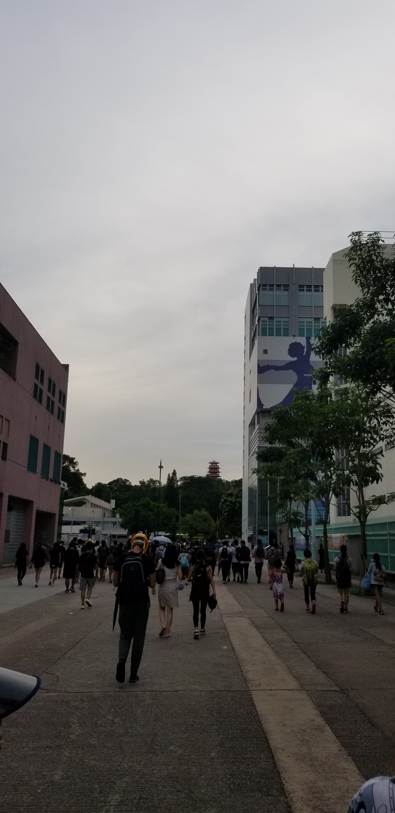 https://cdn.steemitimages.com/DQmXAuoYWDxXmP9hoTEPc1DZrkrVRbuFe5ZmCoSsdQBgQxe/20190727_175510.jpg
