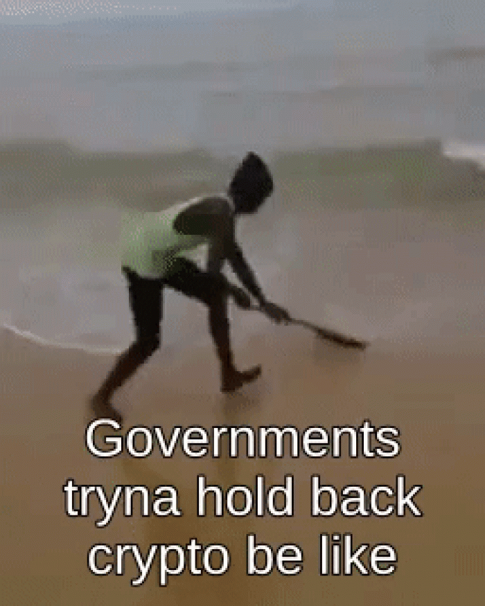 governments-trying-to-hold-back-crypto-meme.gif