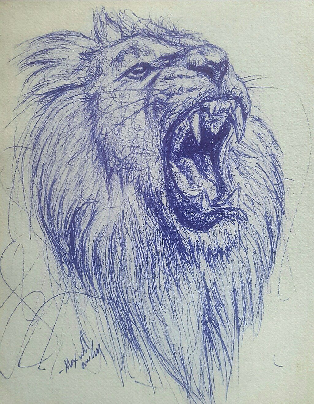 Black Ink Lion Sketch Drawing by Neha Gurung - Pixels