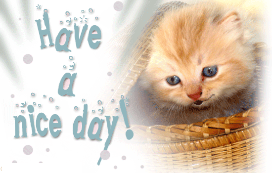 Lovely-Cat-Wishing-You-Have-A-Nice-Day-Image.gif