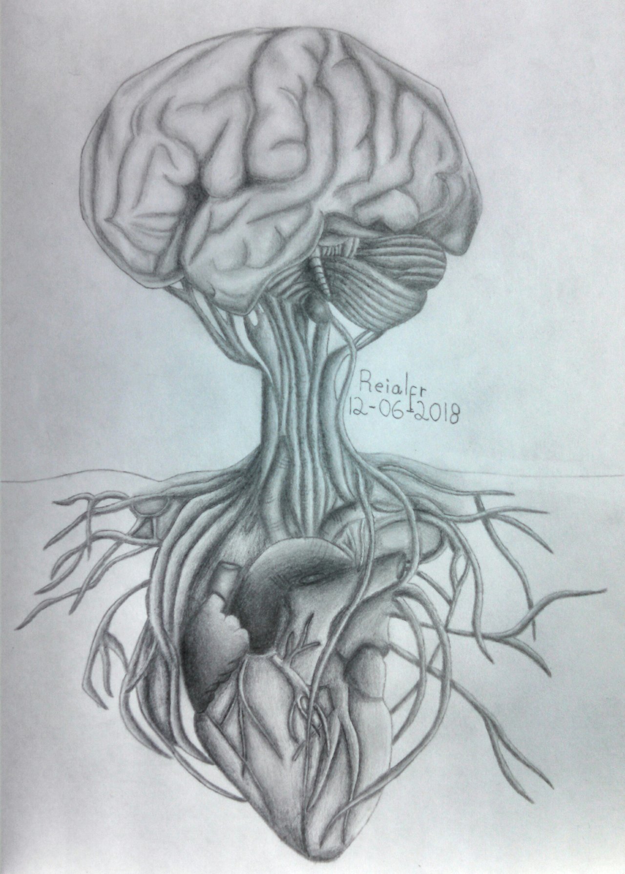 cerebro dibujo arte