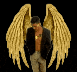 JC Gold wings.gif