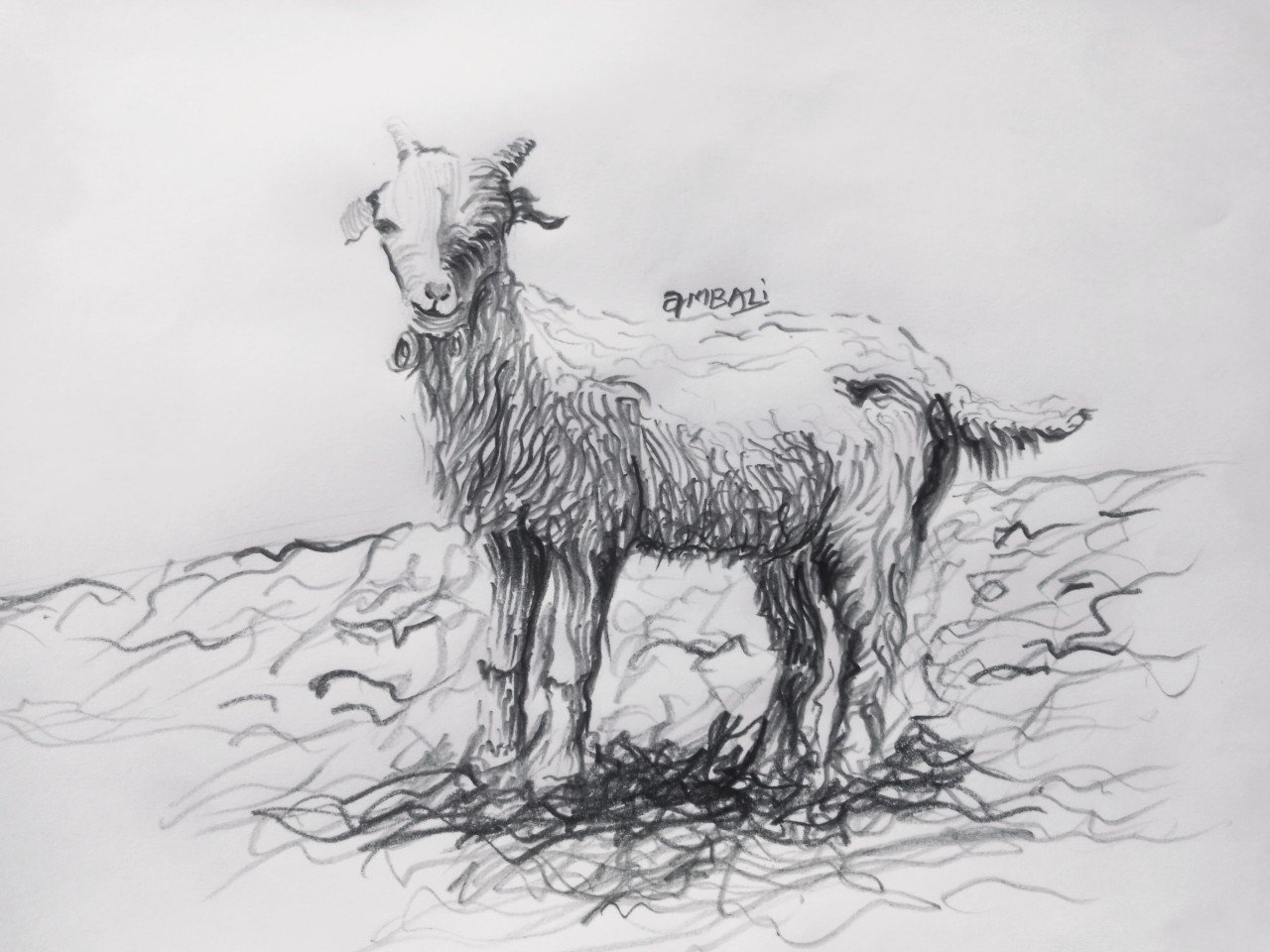 How to Draw a Goat with Pen and Ink