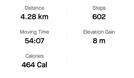 A funny result from Strava's walking function
