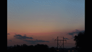 sunrise dawn morning clouds colorful landscape skyscape animated time-lapse SRt200x.gif