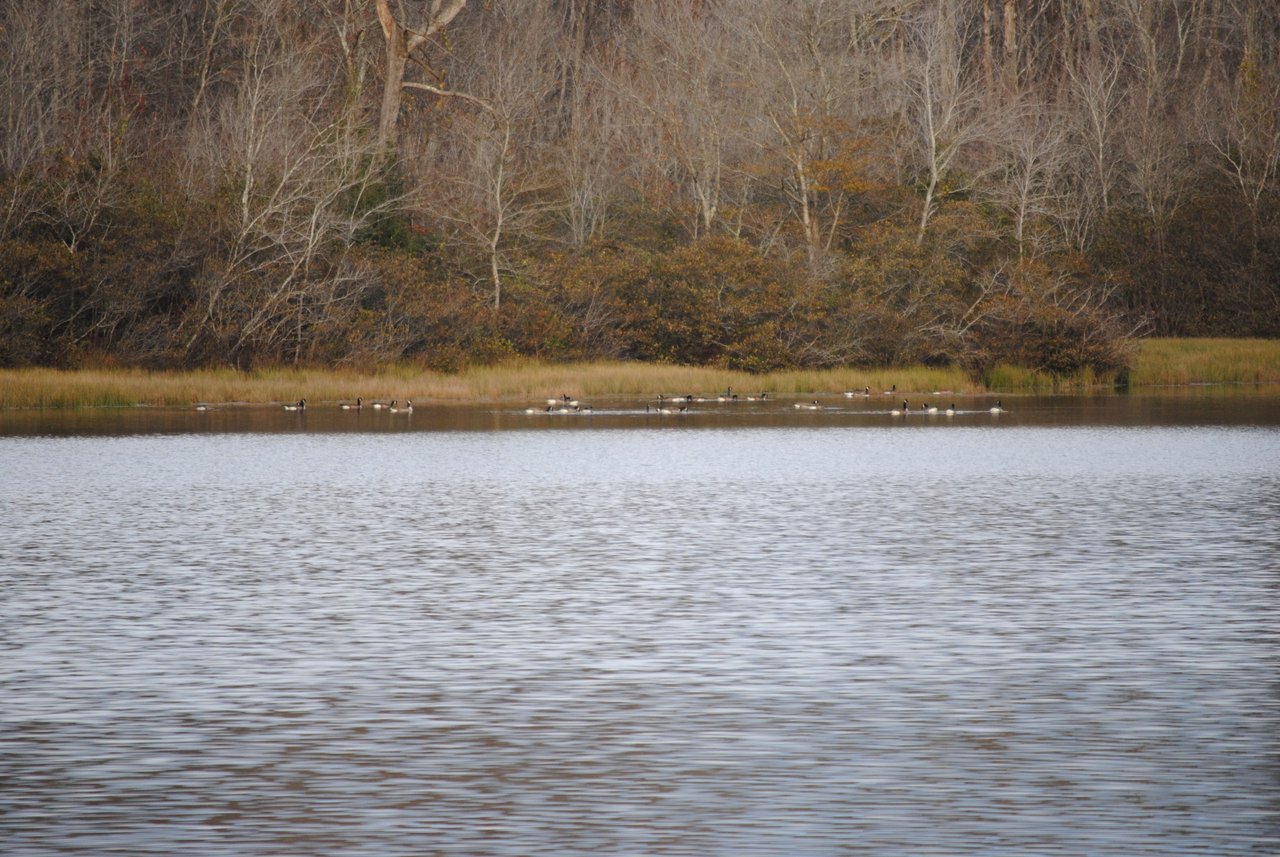 DSC_0097.JPG
