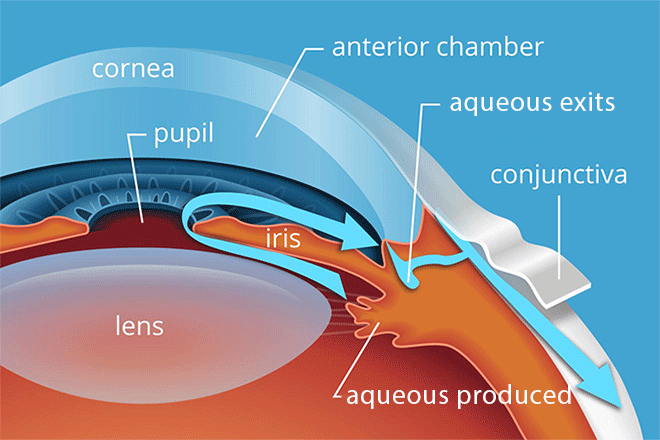 glaucoma-330x220_2x.gif