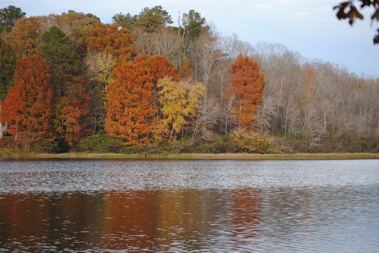 DSC_0096.JPG