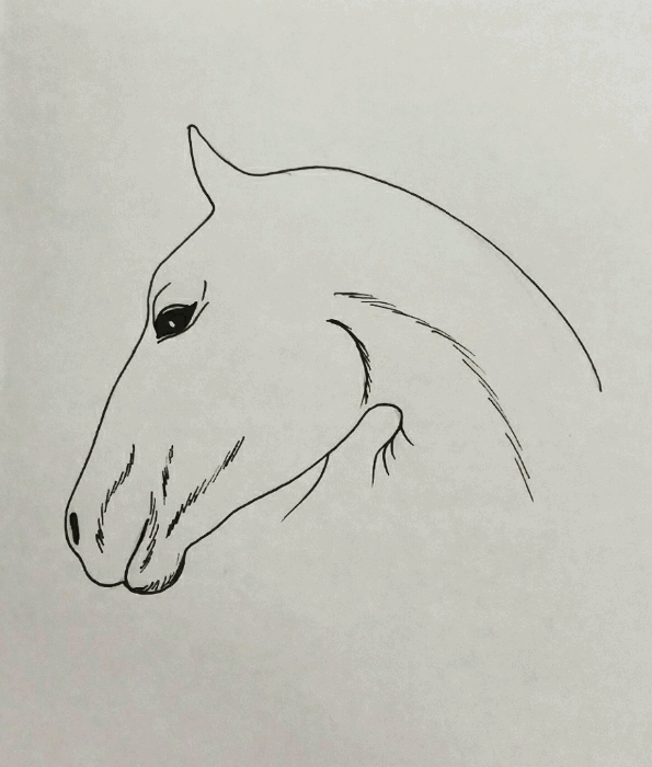 horse1.gif