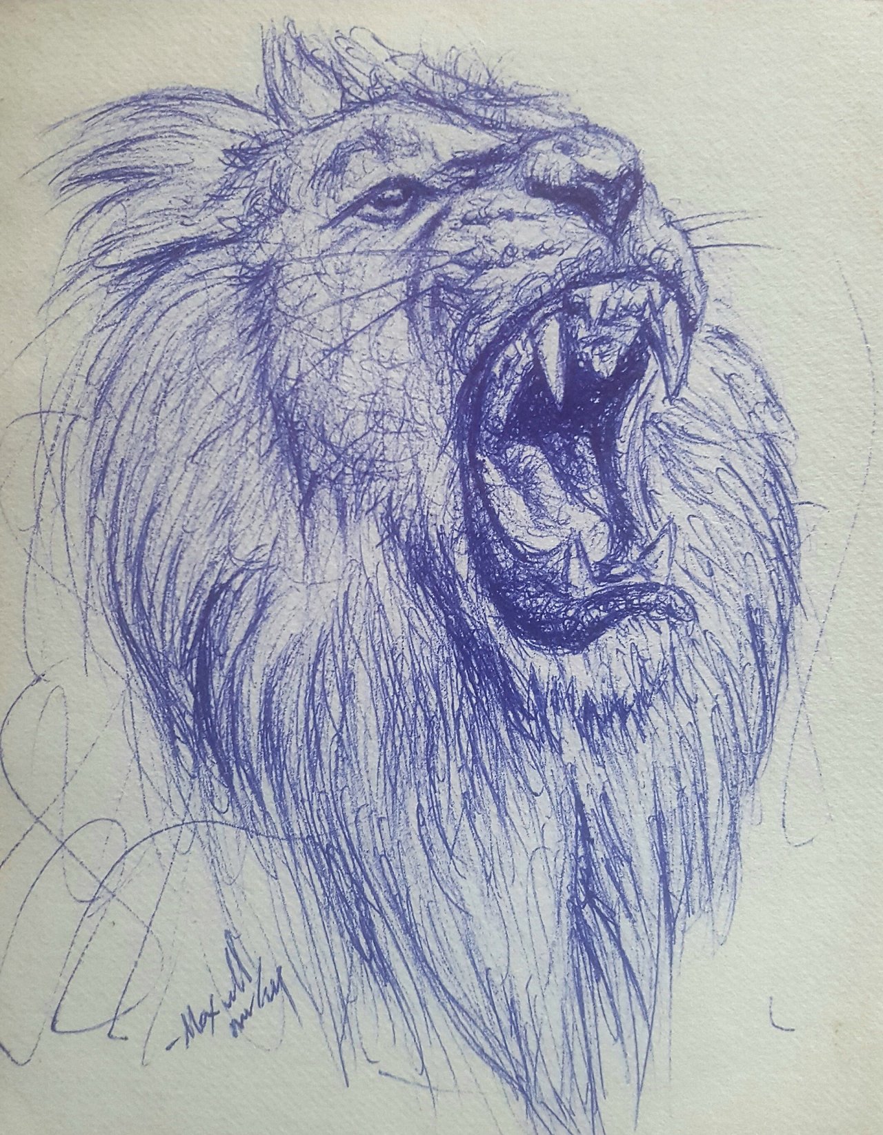 Lion Drawing by Daria Maier | Saatchi Art