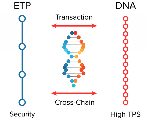 DNA-TOKEN-smaller_noNum (1).gif