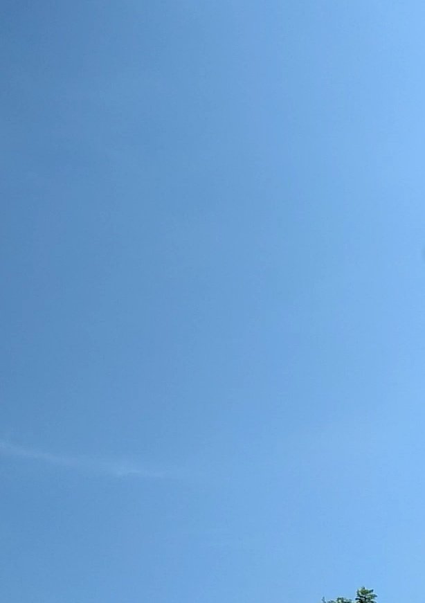 https://cdn.steemitimages.com/DQmcgvD2kS9fCqLo2fuf3s5F6wowWPJfsxTakPYzSXD1wGM/IMG_20190806_102150.jpg