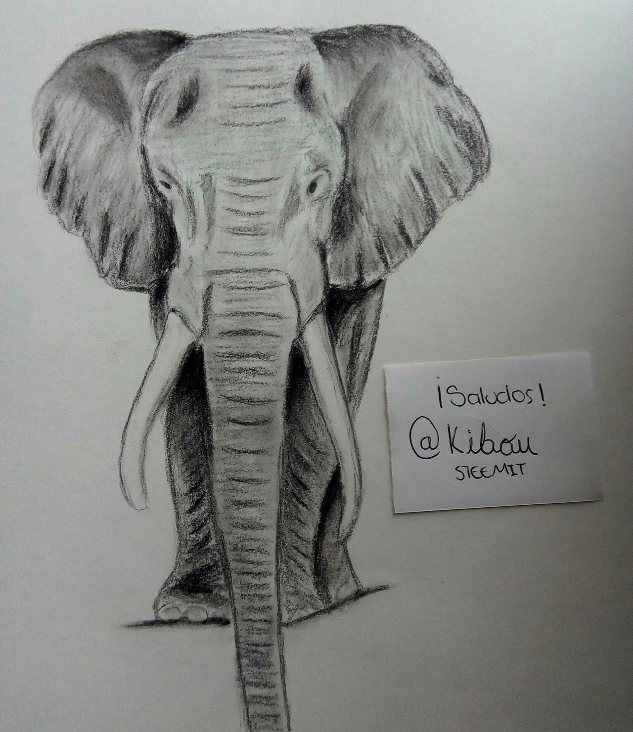 Dibujo: Elefante - No a la caza! | PeakD