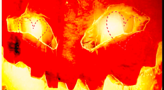4B07E9DC-4FC8-41F5-8FFB-2E23823A84F8.gif