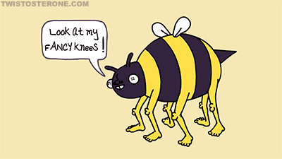 bees.gif