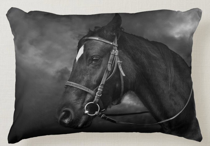 https://cdn.steemitimages.com/DQmfW27pZZQeZevArVcLfemNg6s9KaYxeTPAD7pSAWMxn6d/2%20black%20beauty%20horse%20throw%20pillow.jpg