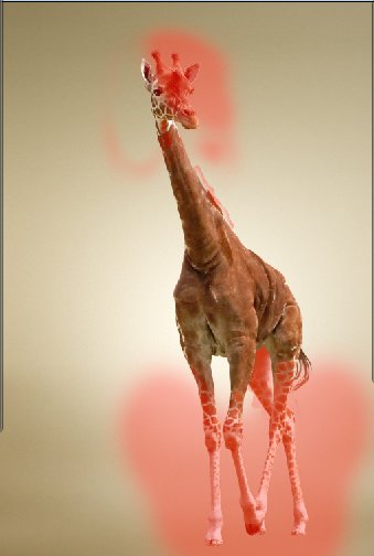 https://cdn.tutsplus.com/psd/uploads/legacy/0631_Giraffe/28.jpg