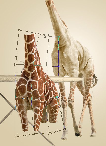 https://cdn.tutsplus.com/psd/uploads/legacy/0631_Giraffe/38_1.jpg