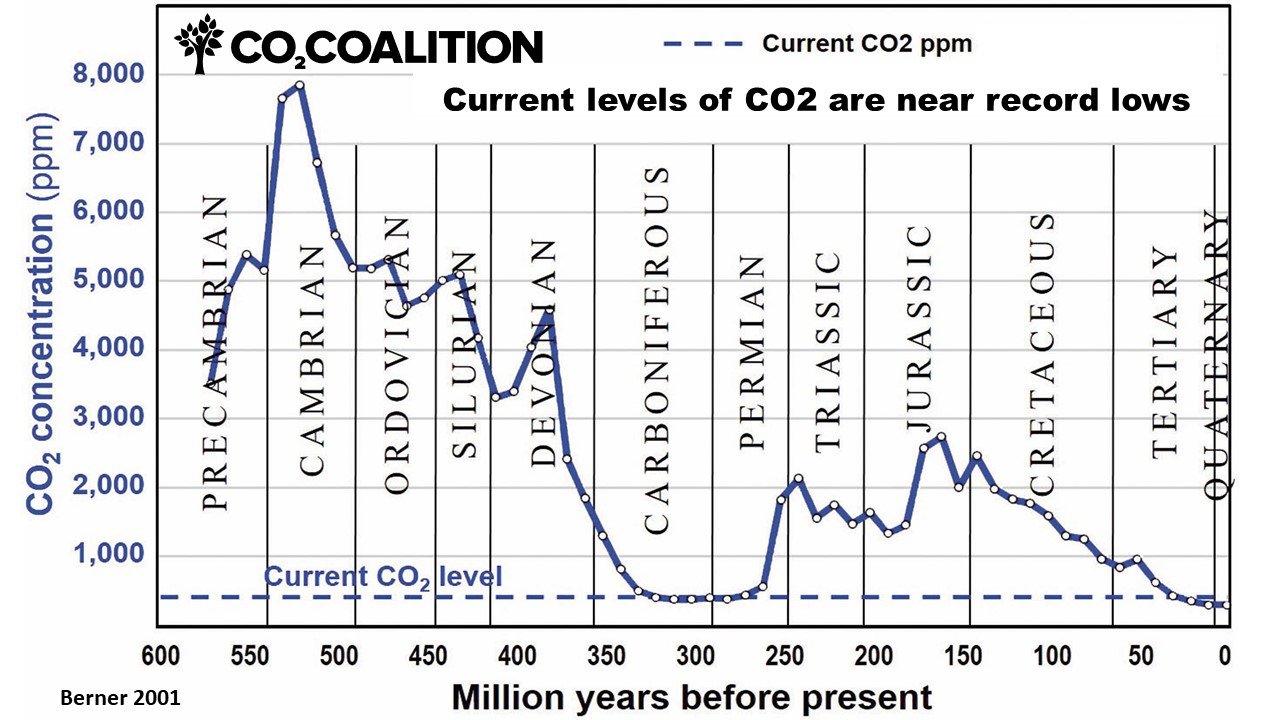 https://co2coalition.org/wp-content/uploads/2021/08/CO2_07.jpg