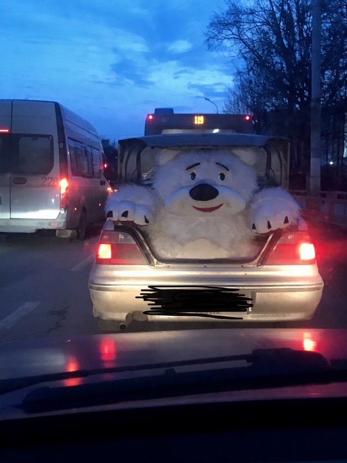 https://cs12.pikabu.ru/post_img/2020/03/05/11/1583431418123460768.jpg