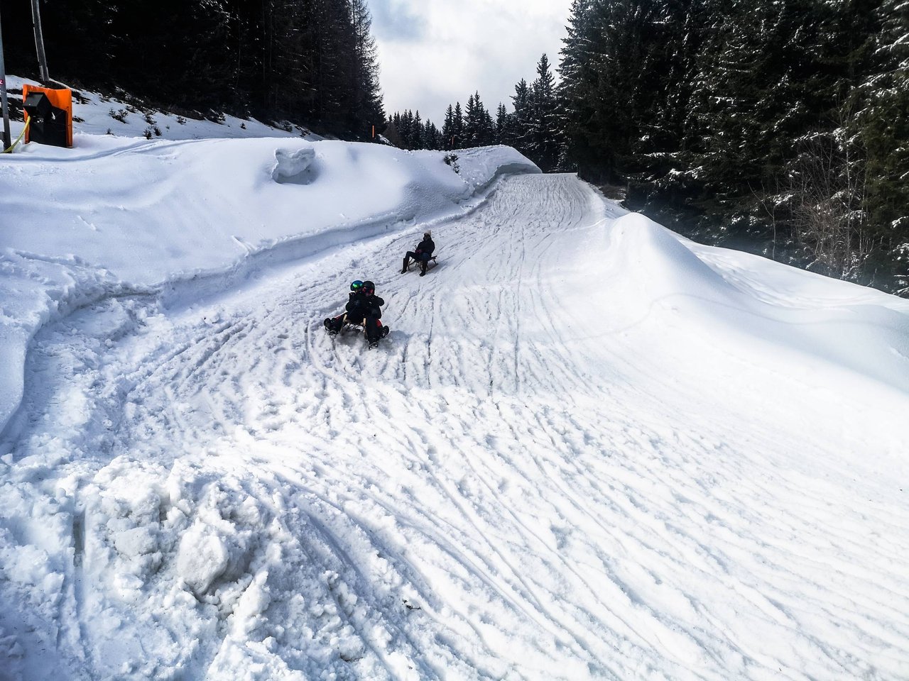   Even with your feet on the ground your sled will reach quite a speed. Breaking before any turn is essential. Photo by Alis Monte [CC BY-SA 4.0], via Connecting the Dots