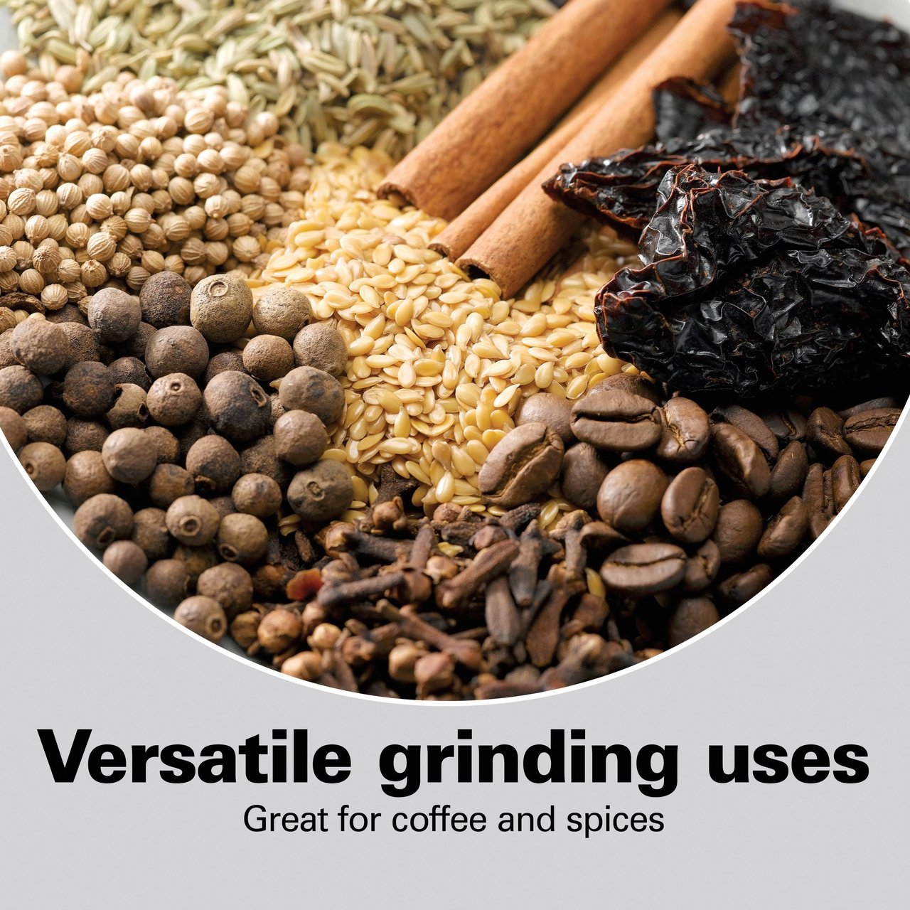 5 Fresh Grind Electric Coffee Grinder by Hamilton Beach