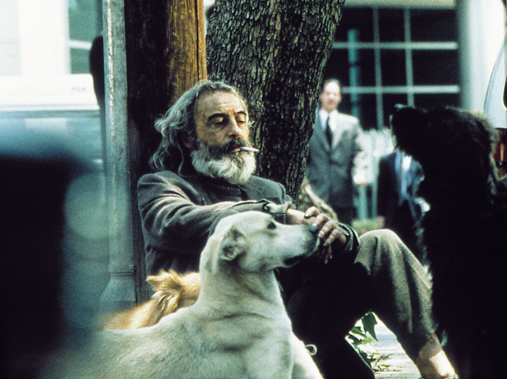 Amores Perros