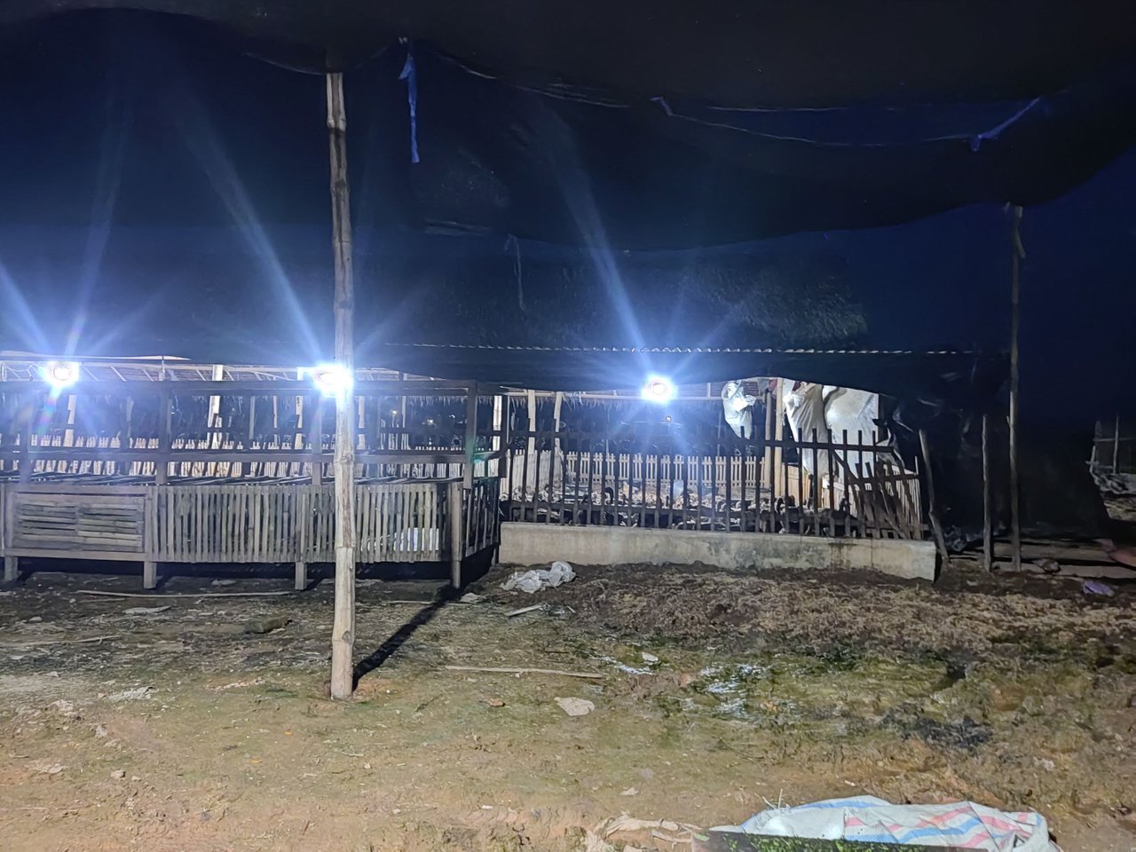 https://files.peakd.com/file/peakd-hive/aceh-media/EoeD4TZLDAjBkgPzJMdXBy265bopJ4F6fLc3wYiVw17x6HPw5pKAFCxKZhiuf2yKvwR.jpg