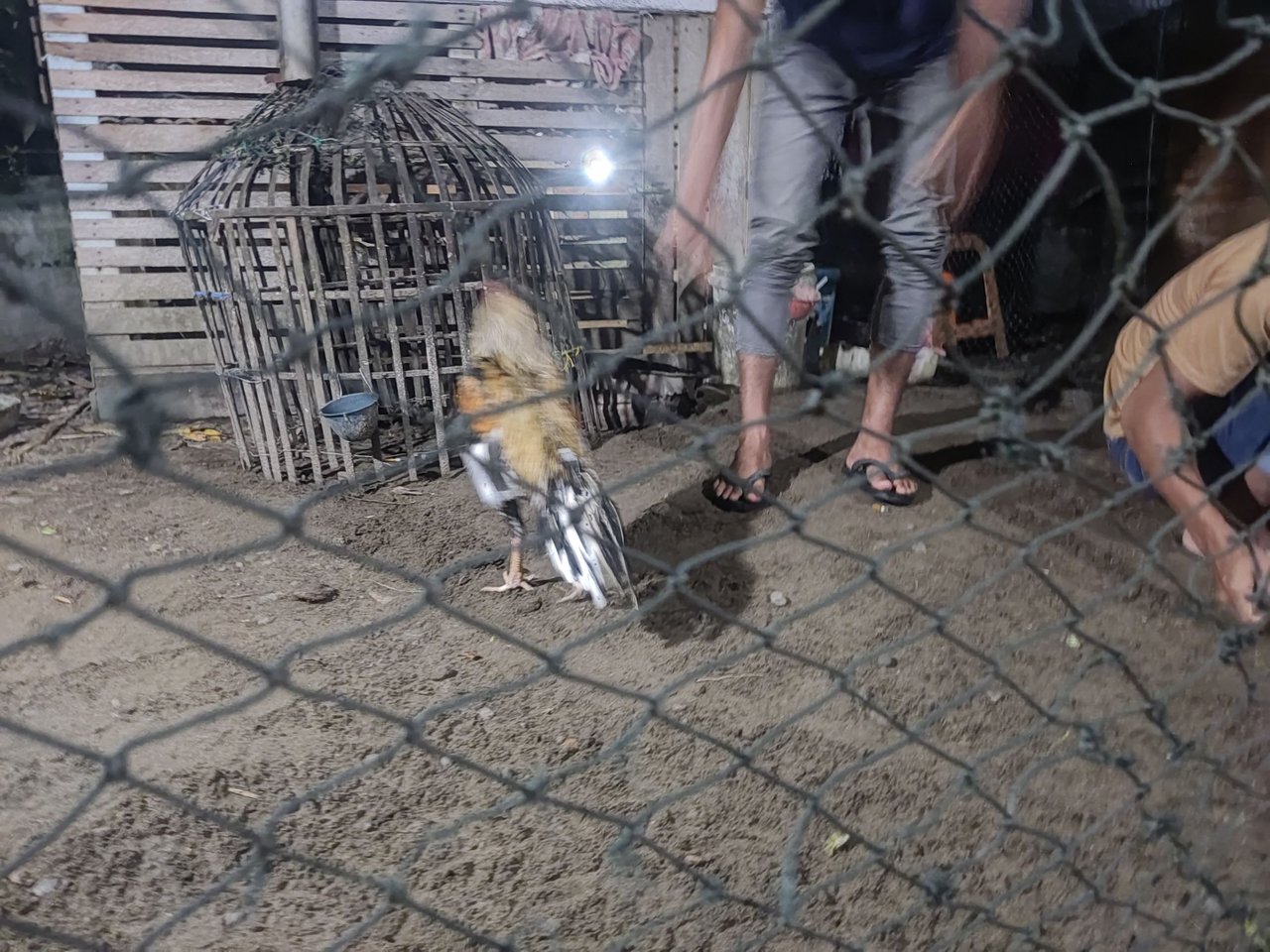 https://files.peakd.com/file/peakd-hive/aceh-media/EoeDuJFjK7AEBZaZftyH6m2mwE5t6Q3Lmy6xLNVpBWTqQPR3tYveGK8GJauFjvDAQ72.jpg