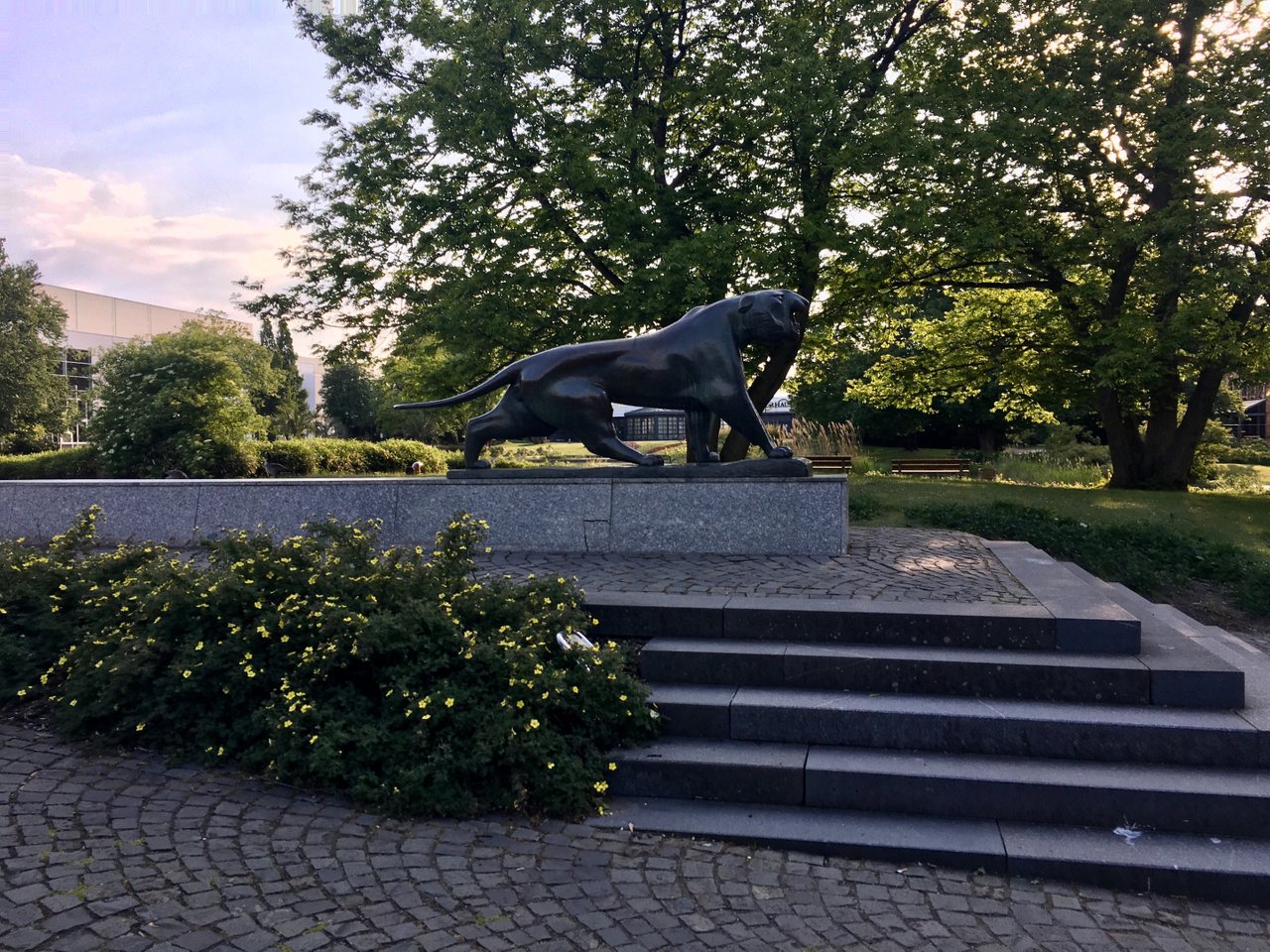 IMG_E9006.JPG