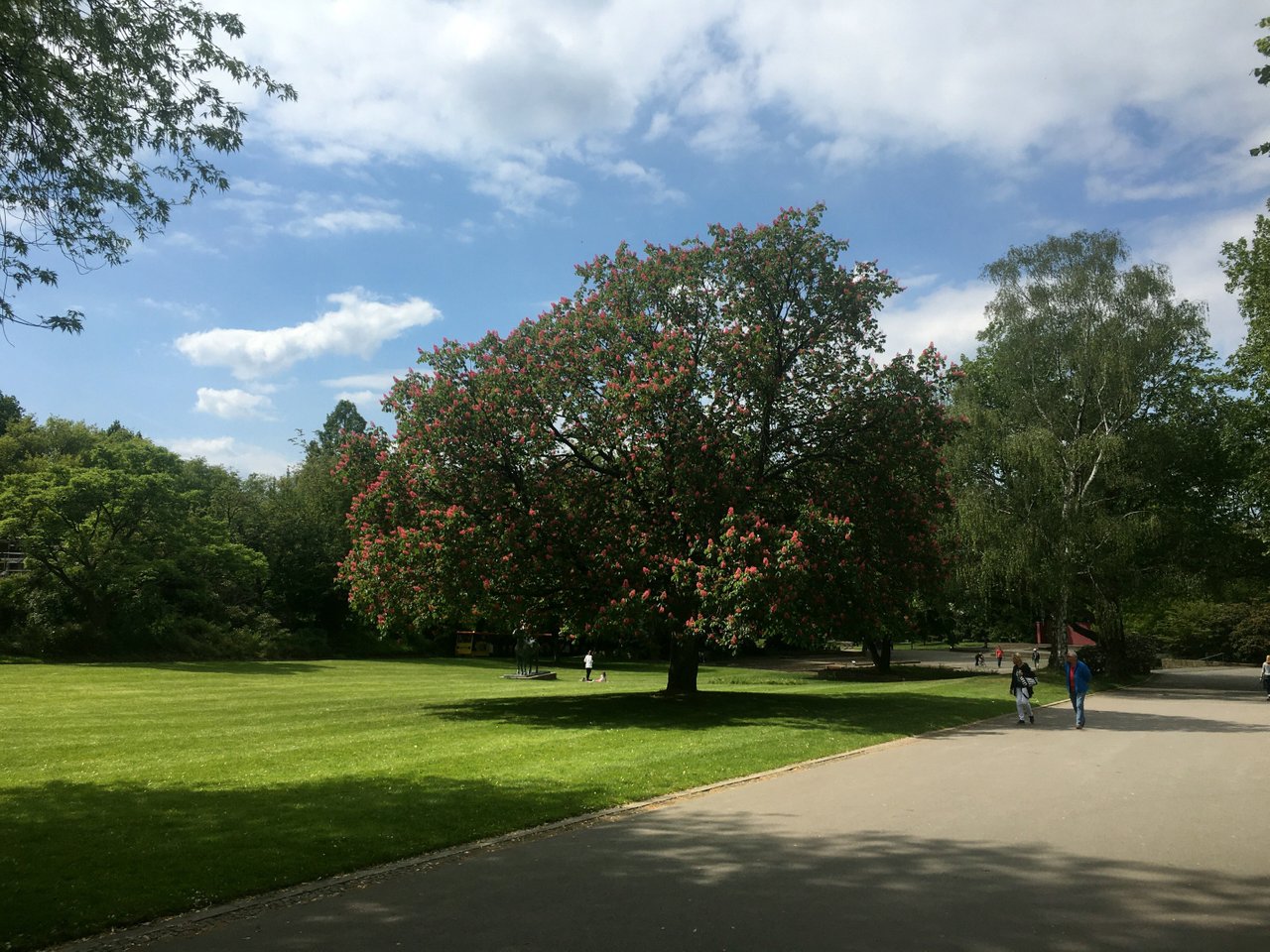 IMG_8936.JPG