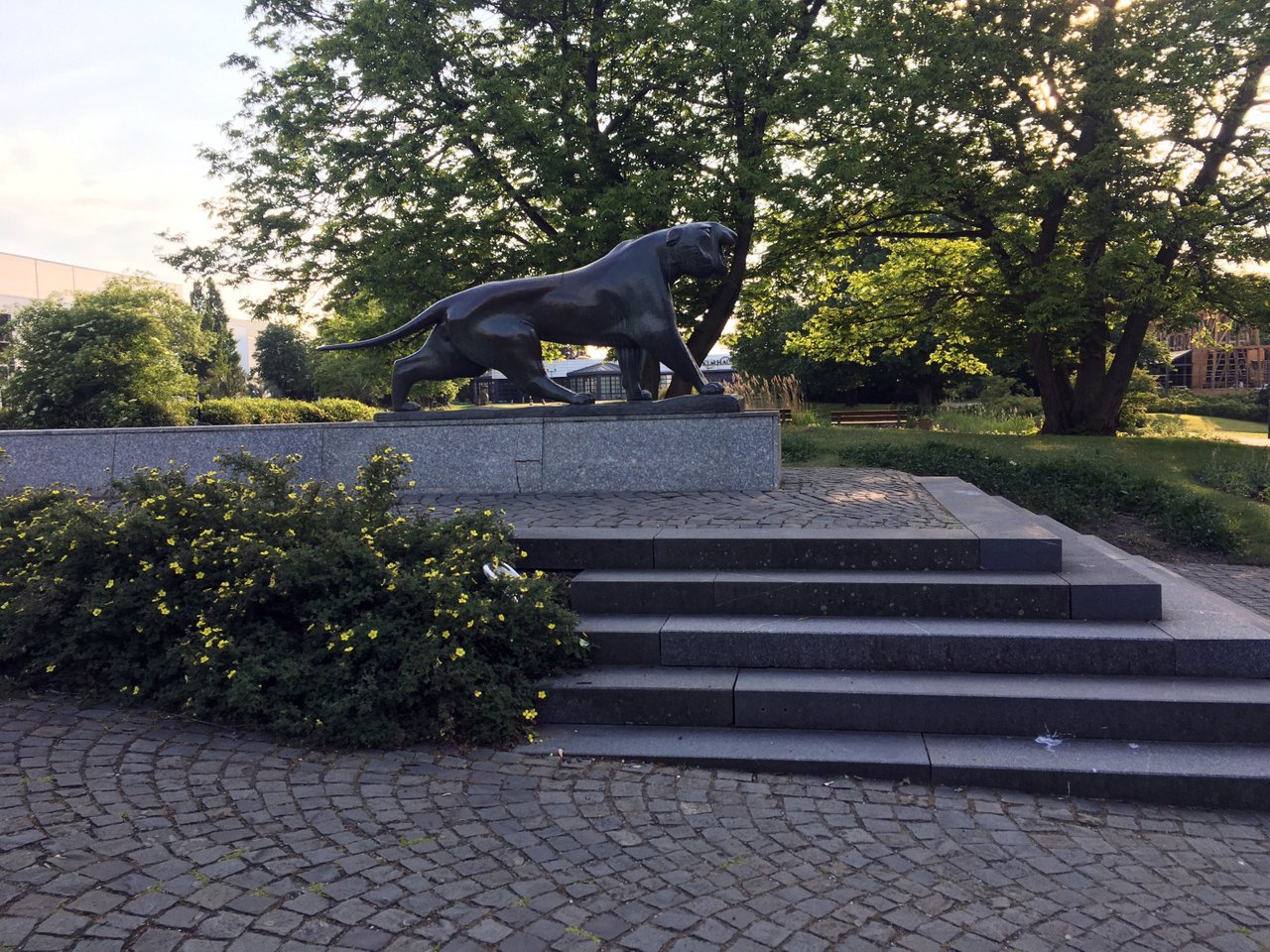 IMG_9004.JPG