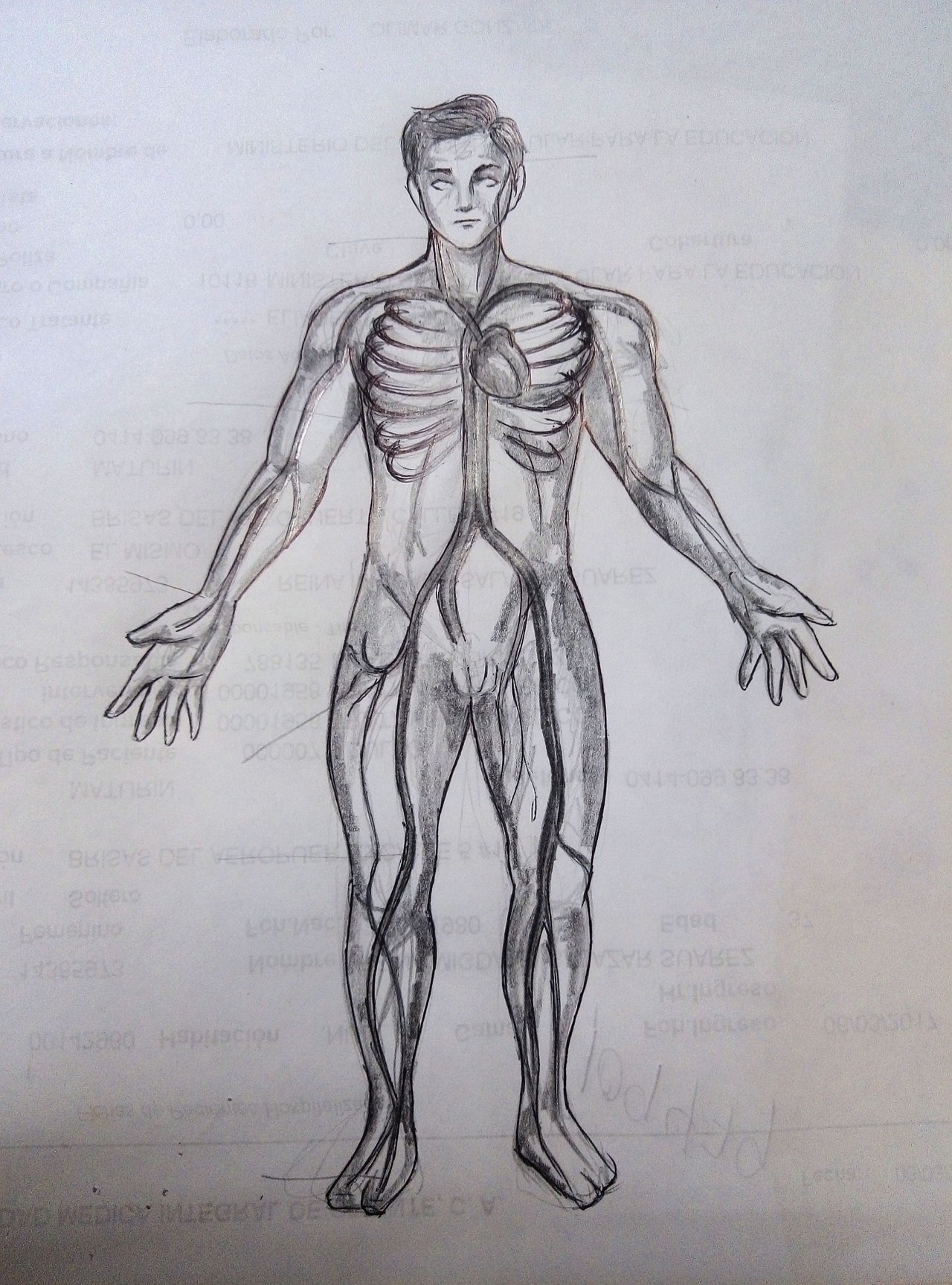 dibujos del cuerpo humano